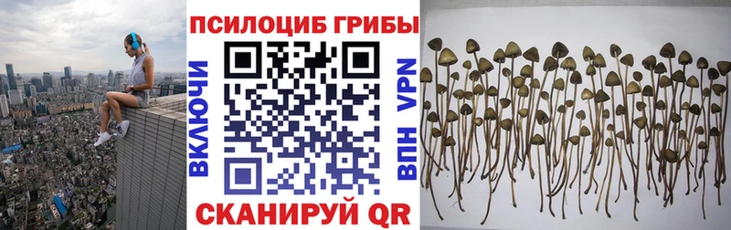 Псилоцибиновые грибы Cubensis  ОМГ ОМГ ссылки  Новочебоксарск 